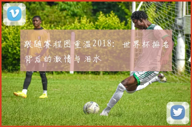 跟随赛程图重温2018：世界杯排名背后的激情与泪水
