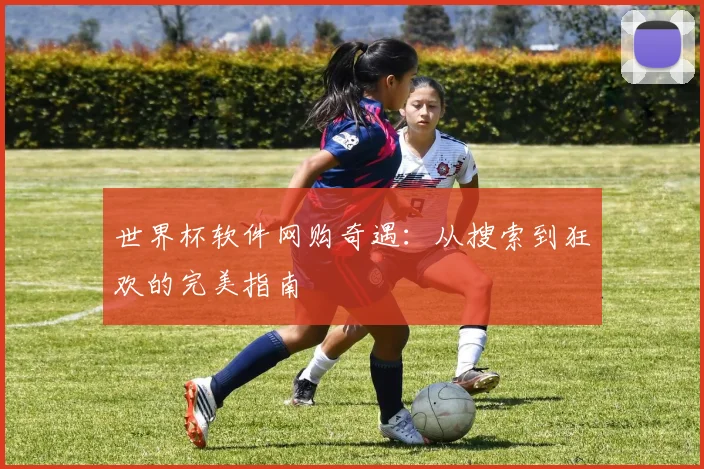 世界杯软件网购奇遇:从搜索到狂欢的完美指南