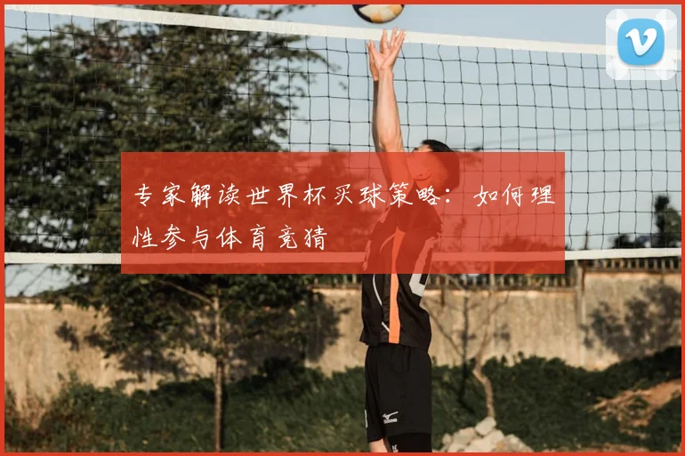 专家解读世界杯买球策略：如何理性参与体育竞猜