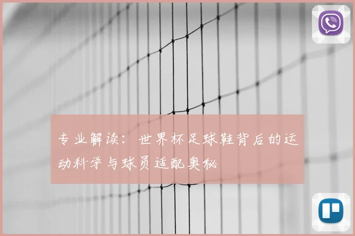 专业解读：世界杯足球鞋背后的运动科学与球员适配奥秘