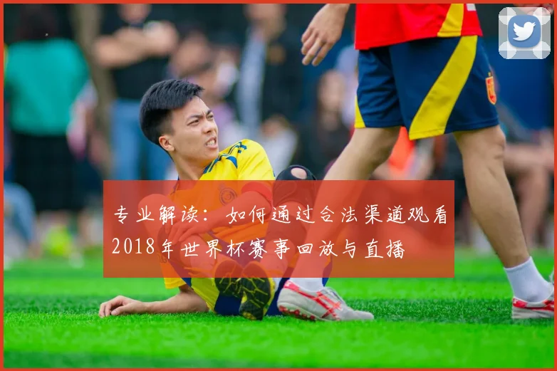 专业解读：如何通过合法渠道观看2018年世界杯赛事回放与直播